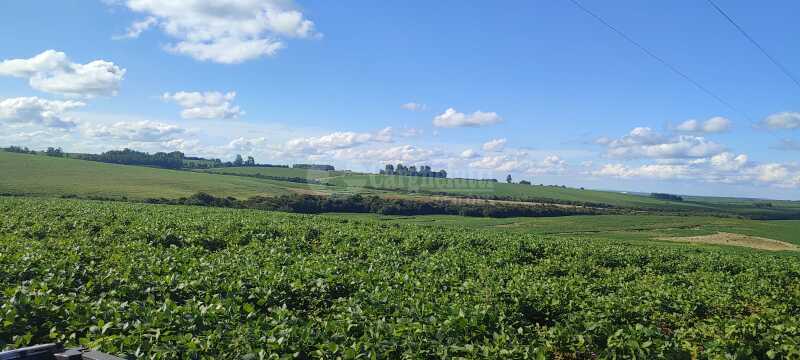 Foto 1 de 7: Area Rural em leilão em Júlio De Castilhos - RS — LOTE 007 Uma fração de terras de campo, s/benfeitorias, c/área de 5ha