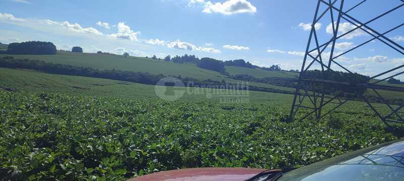 Foto 2 de 7: Area Rural em leilão em Júlio De Castilhos - RS — LOTE 007 Uma fração de terras de campo, s/benfeitorias, c/área de 5ha