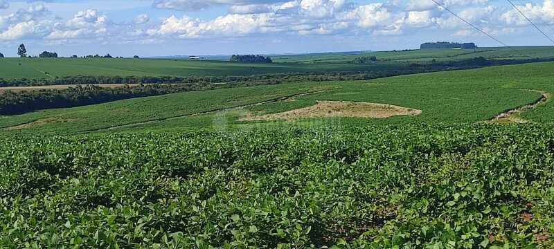 Foto 3 de 7: Area Rural em leilão em Júlio De Castilhos - RS — LOTE 007 Uma fração de terras de campo, s/benfeitorias, c/área de 5ha