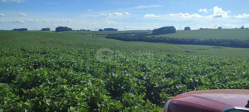 Foto 4 de 7: Area Rural em leilão em Júlio De Castilhos - RS — LOTE 007 Uma fração de terras de campo, s/benfeitorias, c/área de 5ha