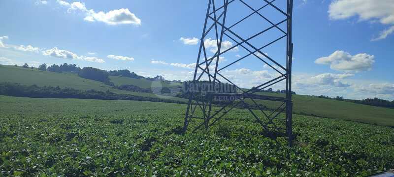 Foto 5 de 7: Area Rural em leilão em Júlio De Castilhos - RS — LOTE 007 Uma fração de terras de campo, s/benfeitorias, c/área de 5ha