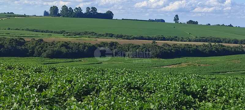 Foto 6 de 7: Area Rural em leilão em Júlio De Castilhos - RS — LOTE 007 Uma fração de terras de campo, s/benfeitorias, c/área de 5ha