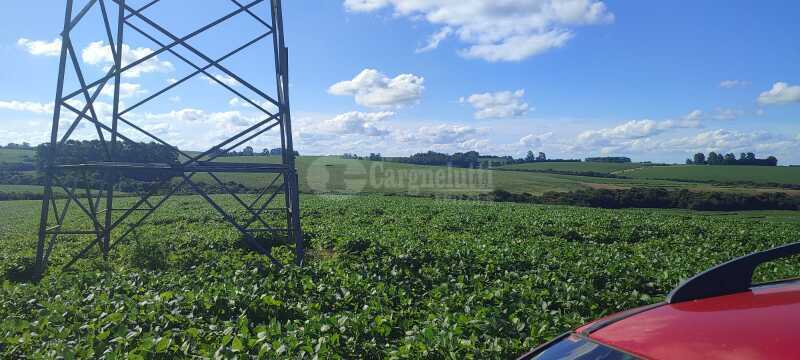 Foto 7 de 7: Area Rural em leilão em Júlio De Castilhos - RS — LOTE 007 Uma fração de terras de campo, s/benfeitorias, c/área de 5ha