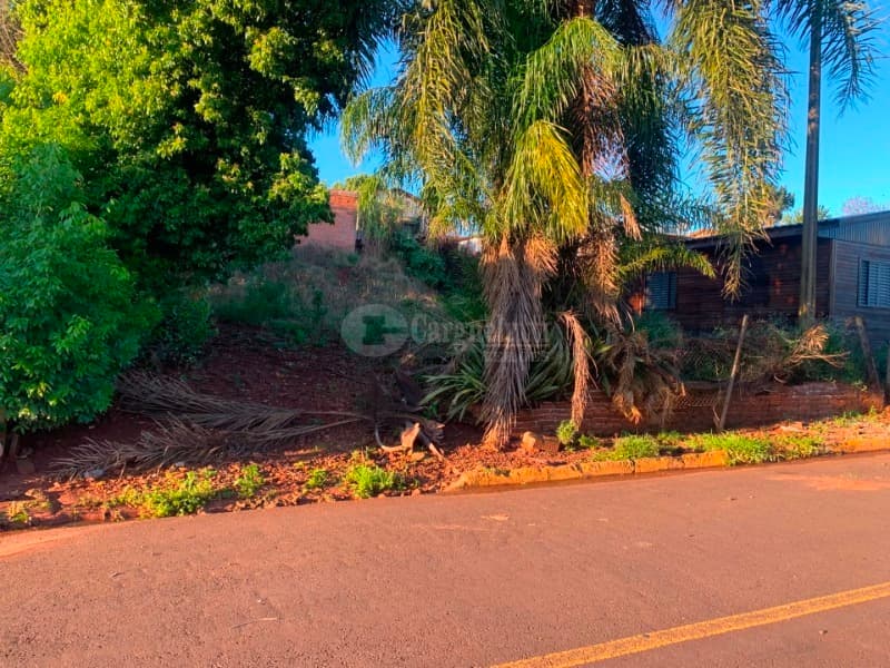 Foto 8 de 11: Terreno em leilão em Saldanha Marinho - RS — LOTE 002 Terreno na Rua Cornélio Limberger, Saldanha Marinho/RS