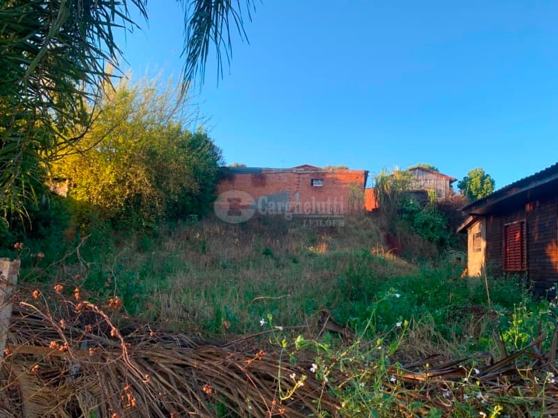 Foto 10 de 11: Terreno em leilão em Saldanha Marinho - RS — LOTE 002 Terreno na Rua Cornélio Limberger, Saldanha Marinho/RS
