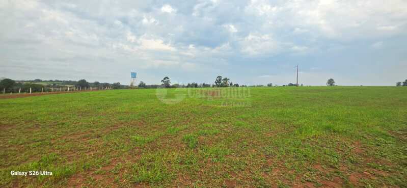 Foto 6 de 17: Terreno em leilão em Santo Antônio Das Missões - RS — LOTE 001-2 05has.85as.71cas em Rincão de São Pedro, Santo Antônio das Missões/RS