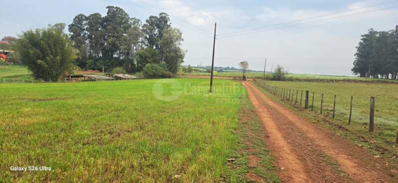 Foto 11 de 17: Terreno em leilão em Santo Antônio Das Missões - RS — LOTE 001-2 05has.85as.71cas em Rincão de São Pedro, Santo Antônio das Missões/RS