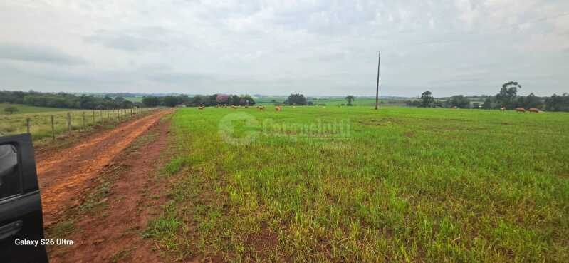Foto 15 de 17: Terreno em leilão em Santo Antônio Das Missões - RS — LOTE 001-2 05has.85as.71cas em Rincão de São Pedro, Santo Antônio das Missões/RS