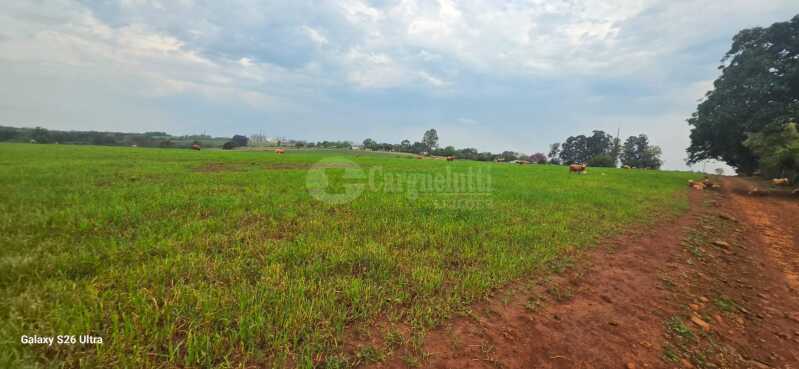 Foto 16 de 17: Terreno em leilão em Santo Antônio Das Missões - RS — LOTE 001-2 05has.85as.71cas em Rincão de São Pedro, Santo Antônio das Missões/RS