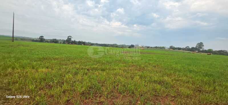Foto 4 de 17: Terreno em leilão em Santo Antônio Das Missões - RS — LOTE 001-3 03has.42as.85cas.68mas em Rincão de São Pedro, Santo Antônio das Missões/RS