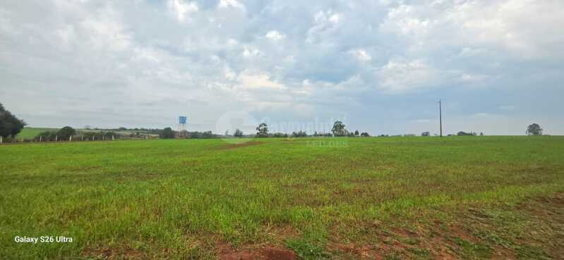 Foto 7 de 17: Terreno em leilão em Santo Antônio Das Missões - RS — LOTE 001-3 03has.42as.85cas.68mas em Rincão de São Pedro, Santo Antônio das Missões/RS
