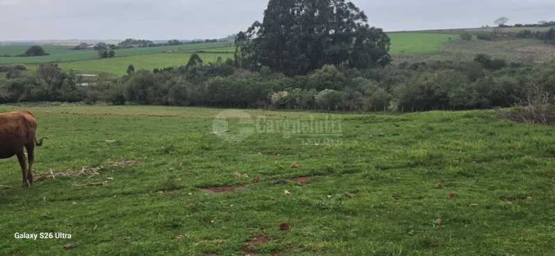 Foto 11 de 17: Terreno em leilão em Santo Antônio Das Missões - RS — LOTE 001-3 03has.42as.85cas.68mas em Rincão de São Pedro, Santo Antônio das Missões/RS