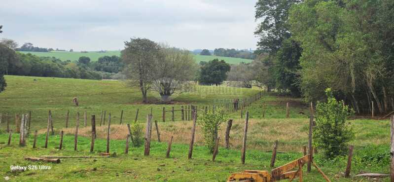 Foto 12 de 17: Terreno em leilão em Santo Antônio Das Missões - RS — LOTE 001-3 03has.42as.85cas.68mas em Rincão de São Pedro, Santo Antônio das Missões/RS
