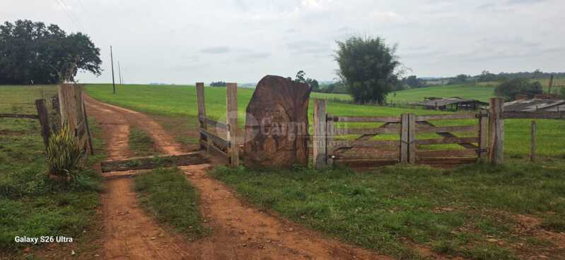 Foto 15 de 17: Terreno em leilão em Santo Antônio Das Missões - RS — LOTE 001-3 03has.42as.85cas.68mas em Rincão de São Pedro, Santo Antônio das Missões/RS