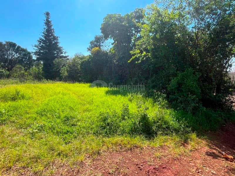 Foto 3 de 9: Terreno em leilão em São Pedro Do Butiá - RS — LOTE 003-1 Área de 14.421,38m², na Av. Dr. Eugênio Frantz, São Pedro do Butiá/RS - À VISTA -