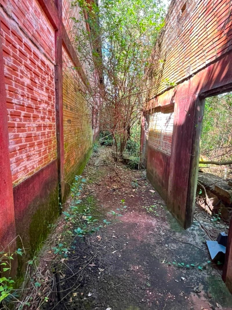 Foto 6 de 9: Terreno em leilão em São Pedro Do Butiá - RS — LOTE 003-1 Área de 14.421,38m², na Av. Dr. Eugênio Frantz, São Pedro do Butiá/RS - À VISTA -