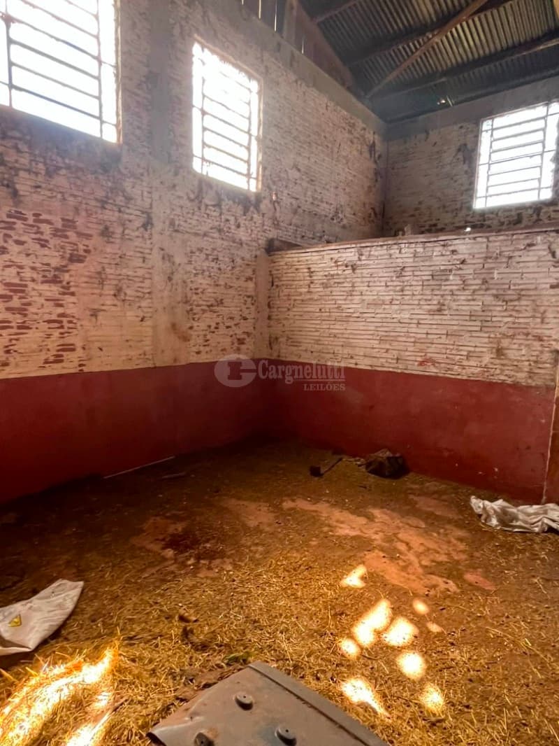 Foto 8 de 9: Terreno em leilão em São Pedro Do Butiá - RS — LOTE 003-1 Área de 14.421,38m², na Av. Dr. Eugênio Frantz, São Pedro do Butiá/RS - À VISTA -