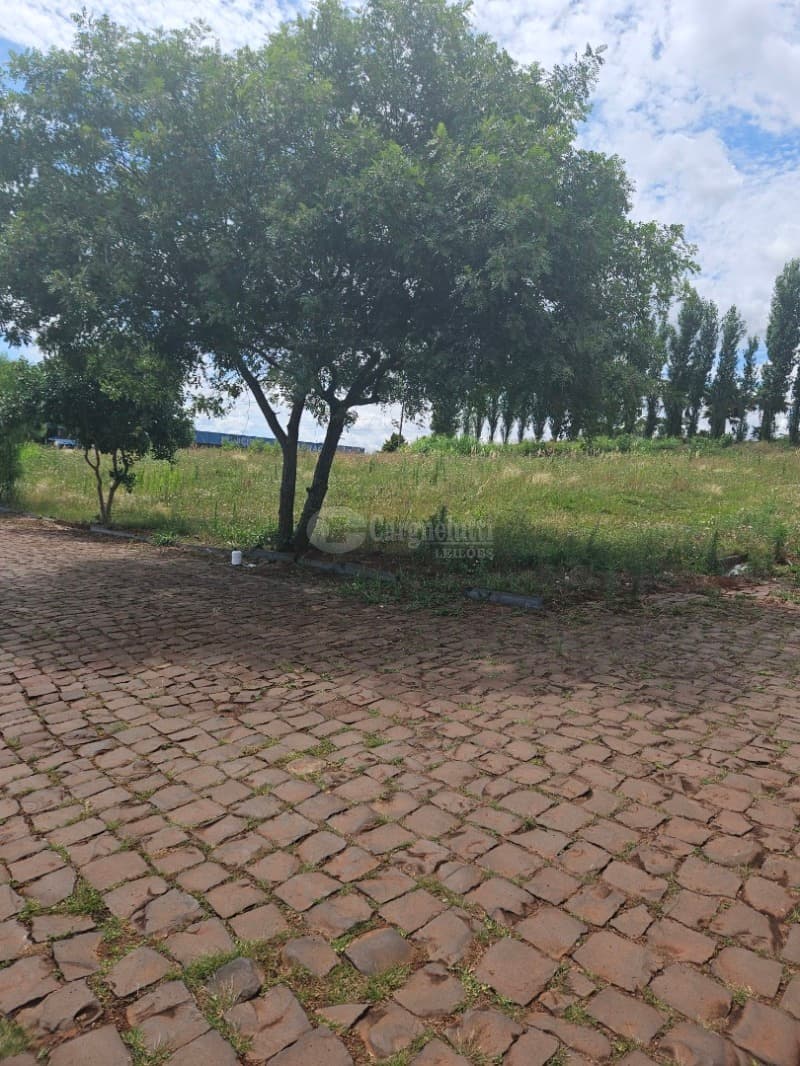 Foto 10 de 10: Terreno em leilão em Barracão - RS — LOTE 009 Terreno com 646,47m² localizada na esquina formada pela Rua Frei Ricardo Aresi e Silva Jard