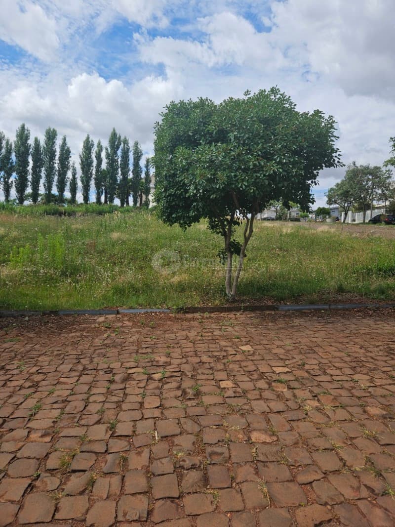 Foto 4 de 10: Terreno em leilão em Barracão - RS — LOTE 009 Terreno com 646,47m² localizada na esquina formada pela Rua Frei Ricardo Aresi e Silva Jard