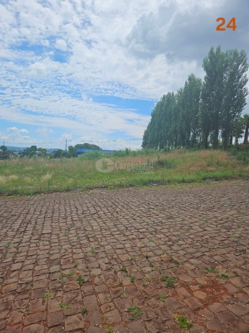 Foto 1 de 14: Terreno em leilão em Barracão - RS — LOTE 010 Terreno urbano, 525,00m² localizada na Rua Silva Jardim, lado par, Barracão/RS