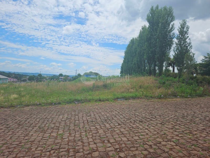 Foto 3 de 14: Terreno em leilão em Barracão - RS — LOTE 010 Terreno urbano, 525,00m² localizada na Rua Silva Jardim, lado par, Barracão/RS