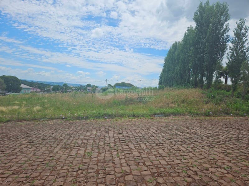 Foto 4 de 14: Terreno em leilão em Barracão - RS — LOTE 010 Terreno urbano, 525,00m² localizada na Rua Silva Jardim, lado par, Barracão/RS