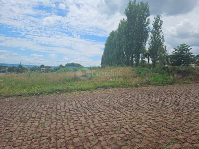 Foto 5 de 14: Terreno em leilão em Barracão - RS — LOTE 010 Terreno urbano, 525,00m² localizada na Rua Silva Jardim, lado par, Barracão/RS