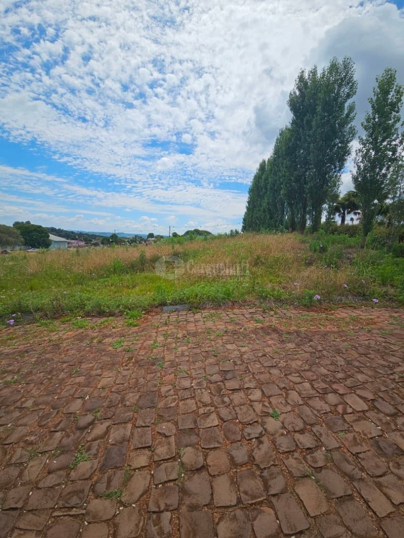 Foto 7 de 14: Terreno em leilão em Barracão - RS — LOTE 010 Terreno urbano, 525,00m² localizada na Rua Silva Jardim, lado par, Barracão/RS
