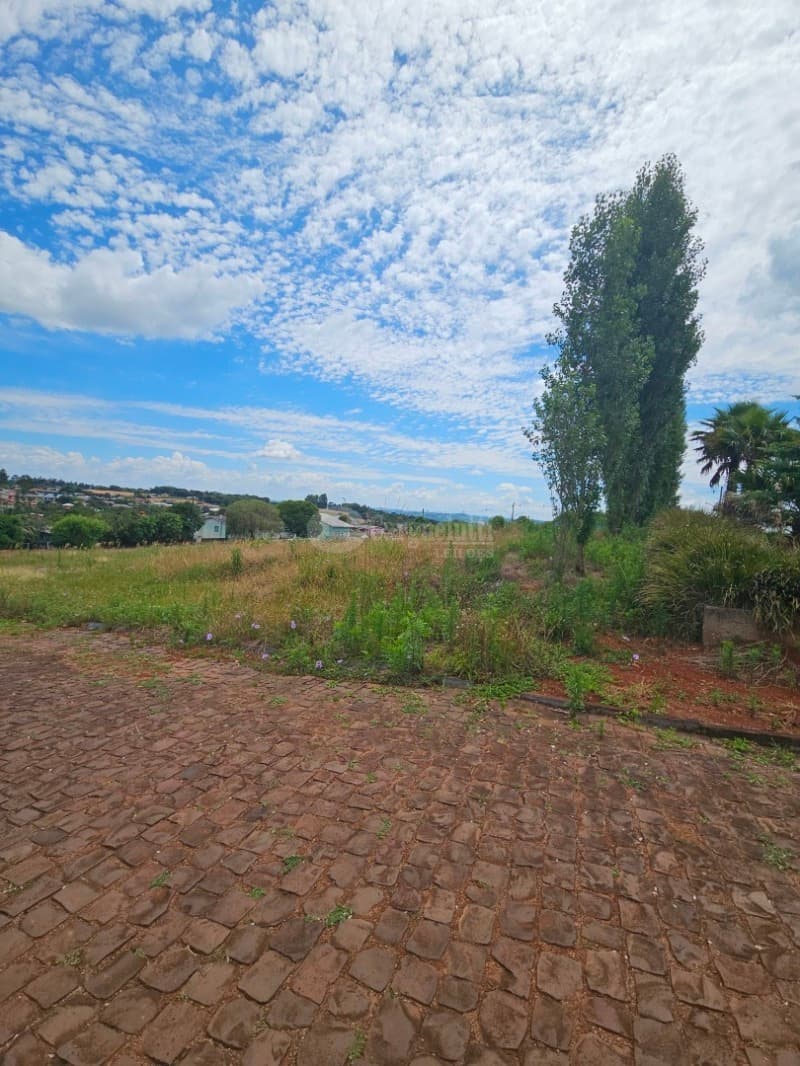 Foto 9 de 14: Terreno em leilão em Barracão - RS — LOTE 010 Terreno urbano, 525,00m² localizada na Rua Silva Jardim, lado par, Barracão/RS
