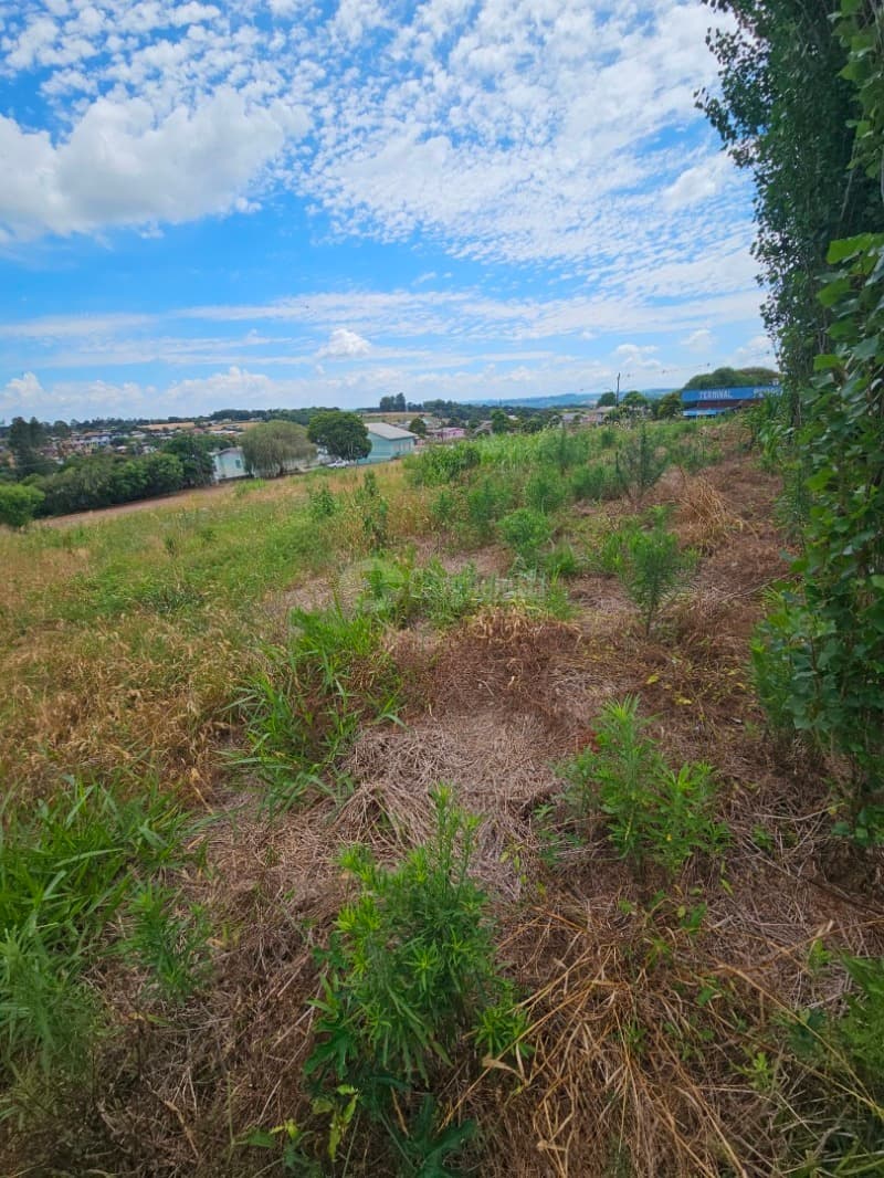 Foto 10 de 14: Terreno em leilão em Barracão - RS — LOTE 010 Terreno urbano, 525,00m² localizada na Rua Silva Jardim, lado par, Barracão/RS