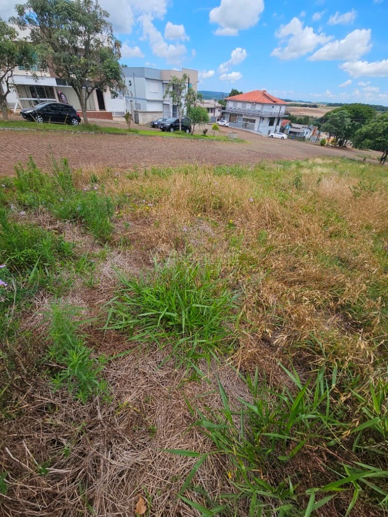 Foto 11 de 14: Terreno em leilão em Barracão - RS — LOTE 010 Terreno urbano, 525,00m² localizada na Rua Silva Jardim, lado par, Barracão/RS