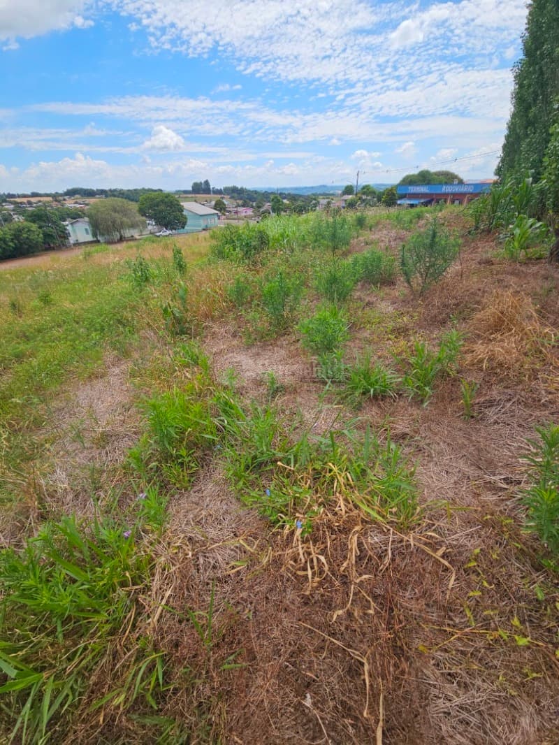 Foto 12 de 14: Terreno em leilão em Barracão - RS — LOTE 010 Terreno urbano, 525,00m² localizada na Rua Silva Jardim, lado par, Barracão/RS