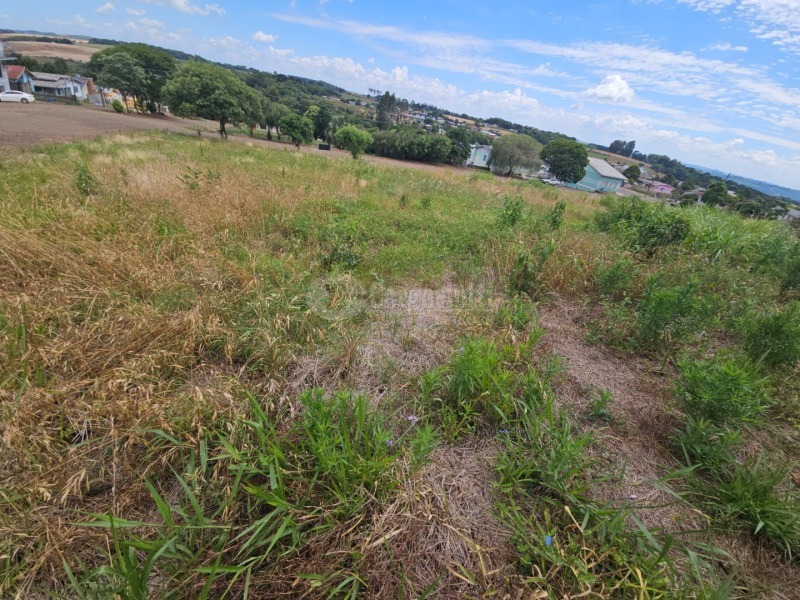 Foto 13 de 14: Terreno em leilão em Barracão - RS — LOTE 010 Terreno urbano, 525,00m² localizada na Rua Silva Jardim, lado par, Barracão/RS