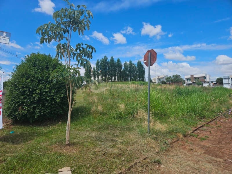 Foto 4 de 10: Terreno em leilão em Barracão - RS — LOTE 011 Terreno urbano com 792,37m² localizada na esquina entre a Rua Frei Ricardo Aresi, lado par