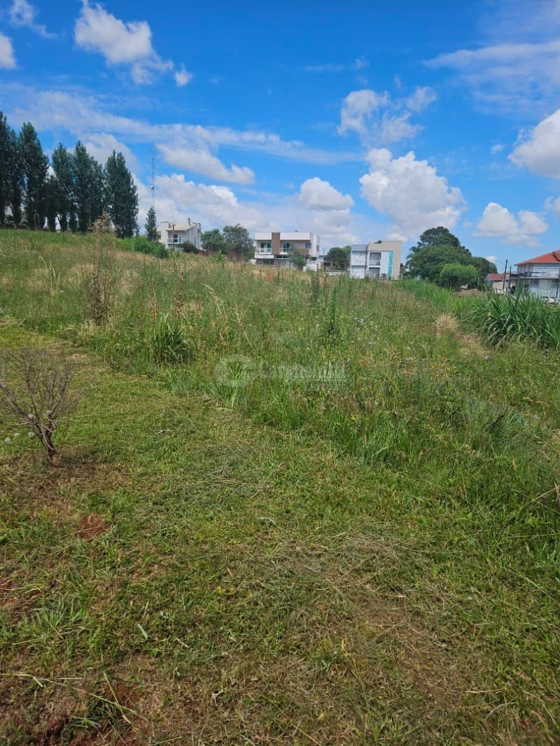 Foto 6 de 10: Terreno em leilão em Barracão - RS — LOTE 011 Terreno urbano com 792,37m² localizada na esquina entre a Rua Frei Ricardo Aresi, lado par