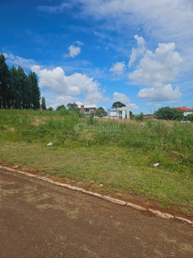 Foto 6 de 13: Terreno em leilão em Barracão - RS — LOTE 012 Terreno Urbano com 564,05m² localizada na Av. Brasília, lado ímpar, Barracão/RS