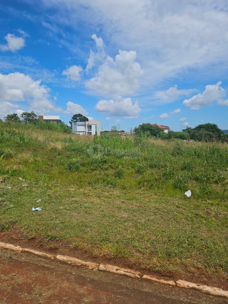 Foto 7 de 13: Terreno em leilão em Barracão - RS — LOTE 012 Terreno Urbano com 564,05m² localizada na Av. Brasília, lado ímpar, Barracão/RS