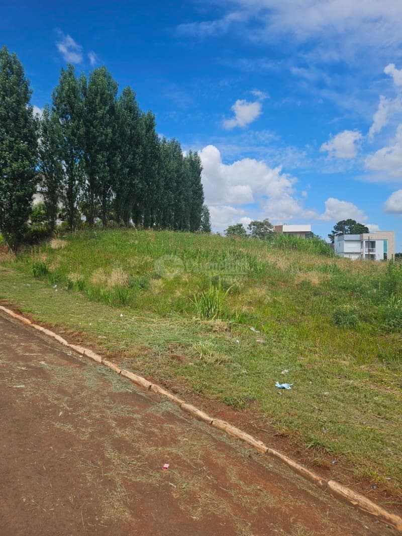 Foto 8 de 13: Terreno em leilão em Barracão - RS — LOTE 012 Terreno Urbano com 564,05m² localizada na Av. Brasília, lado ímpar, Barracão/RS