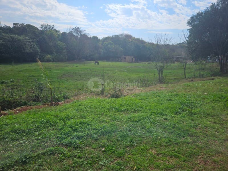 Foto 2 de 26: Terreno em leilão em Cruz Alta - RS, bairro Hilda — LOTE 028 Terreno de 4.652,00m² na Rua Soledade, Cruz Alta/RS