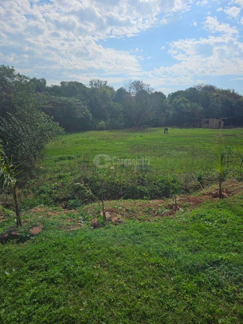 Foto 3 de 26: Terreno em leilão em Cruz Alta - RS, bairro Hilda — LOTE 028 Terreno de 4.652,00m² na Rua Soledade, Cruz Alta/RS