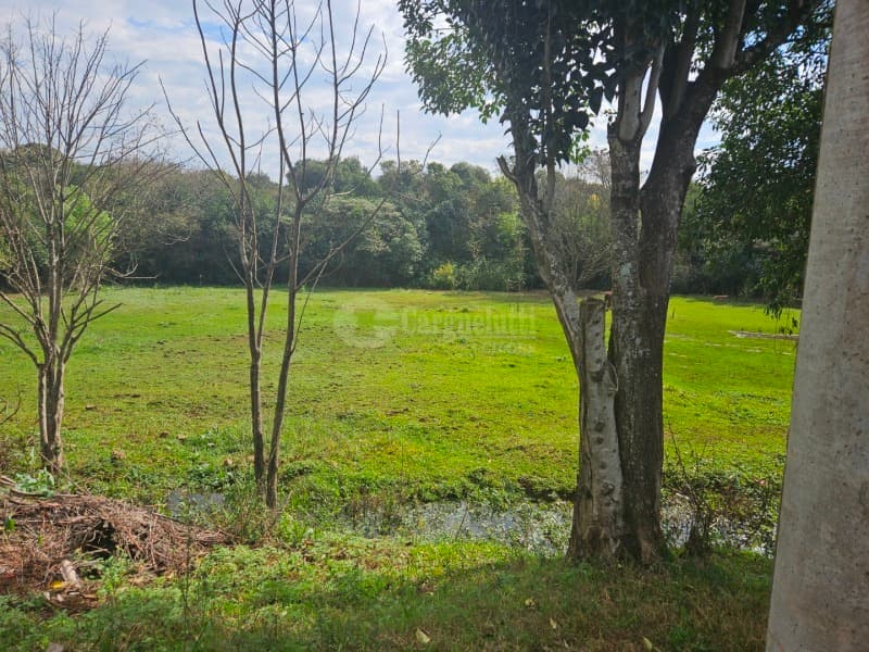 Foto 7 de 26: Terreno em leilão em Cruz Alta - RS, bairro Hilda — LOTE 028 Terreno de 4.652,00m² na Rua Soledade, Cruz Alta/RS
