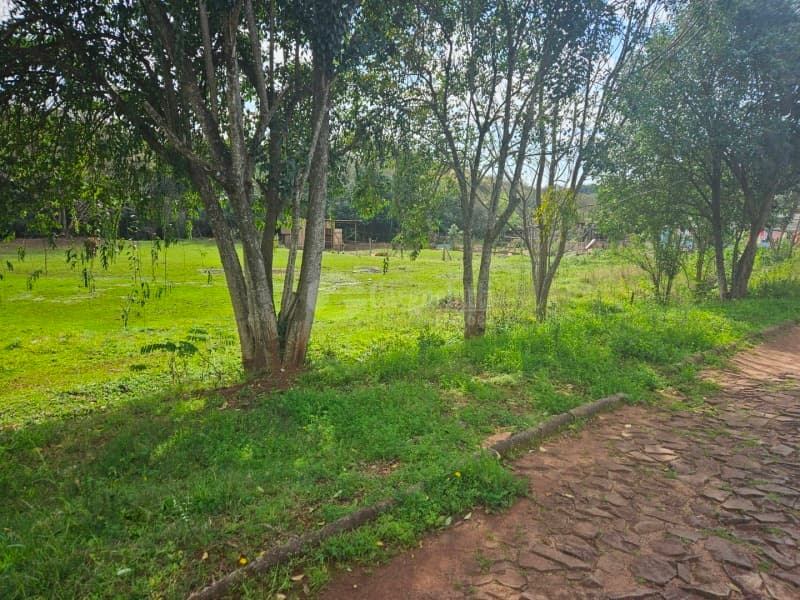 Foto 8 de 26: Terreno em leilão em Cruz Alta - RS, bairro Hilda — LOTE 028 Terreno de 4.652,00m² na Rua Soledade, Cruz Alta/RS