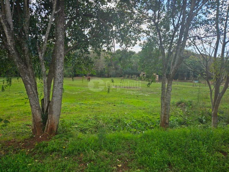 Foto 9 de 26: Terreno em leilão em Cruz Alta - RS, bairro Hilda — LOTE 028 Terreno de 4.652,00m² na Rua Soledade, Cruz Alta/RS