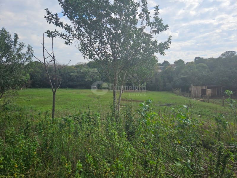 Foto 11 de 26: Terreno em leilão em Cruz Alta - RS, bairro Hilda — LOTE 028 Terreno de 4.652,00m² na Rua Soledade, Cruz Alta/RS