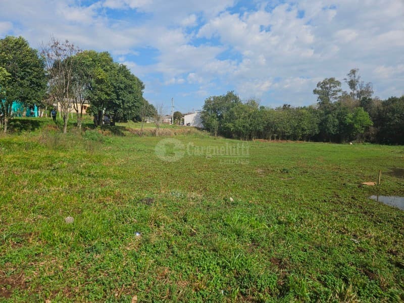 Foto 17 de 26: Terreno em leilão em Cruz Alta - RS, bairro Hilda — LOTE 028 Terreno de 4.652,00m² na Rua Soledade, Cruz Alta/RS