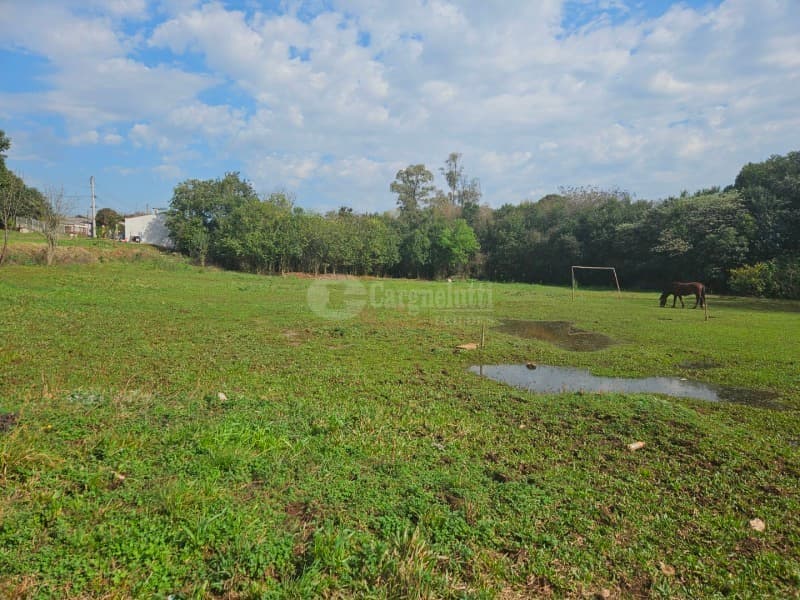 Foto 18 de 26: Terreno em leilão em Cruz Alta - RS, bairro Hilda — LOTE 028 Terreno de 4.652,00m² na Rua Soledade, Cruz Alta/RS