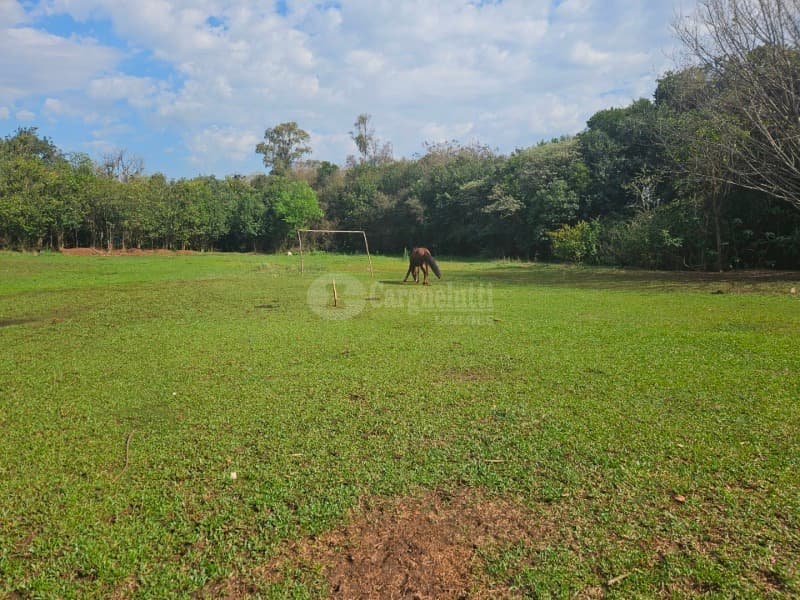 Foto 22 de 26: Terreno em leilão em Cruz Alta - RS, bairro Hilda — LOTE 028 Terreno de 4.652,00m² na Rua Soledade, Cruz Alta/RS