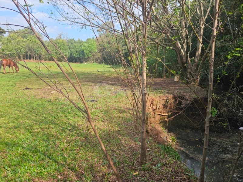 Foto 24 de 26: Terreno em leilão em Cruz Alta - RS, bairro Hilda — LOTE 028 Terreno de 4.652,00m² na Rua Soledade, Cruz Alta/RS