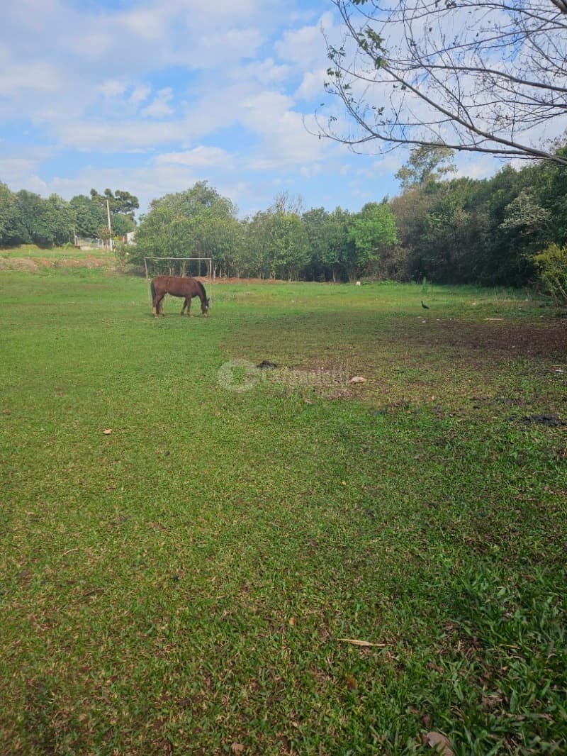 Foto 25 de 26: Terreno em leilão em Cruz Alta - RS, bairro Hilda — LOTE 028 Terreno de 4.652,00m² na Rua Soledade, Cruz Alta/RS