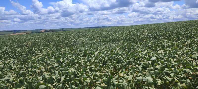 Foto 1 de 10: Area Rural em leilão em Giruá - RS — LOTE 001 4,5750has em Rincão Nossa Senhora Aparecida, Giruá/RS